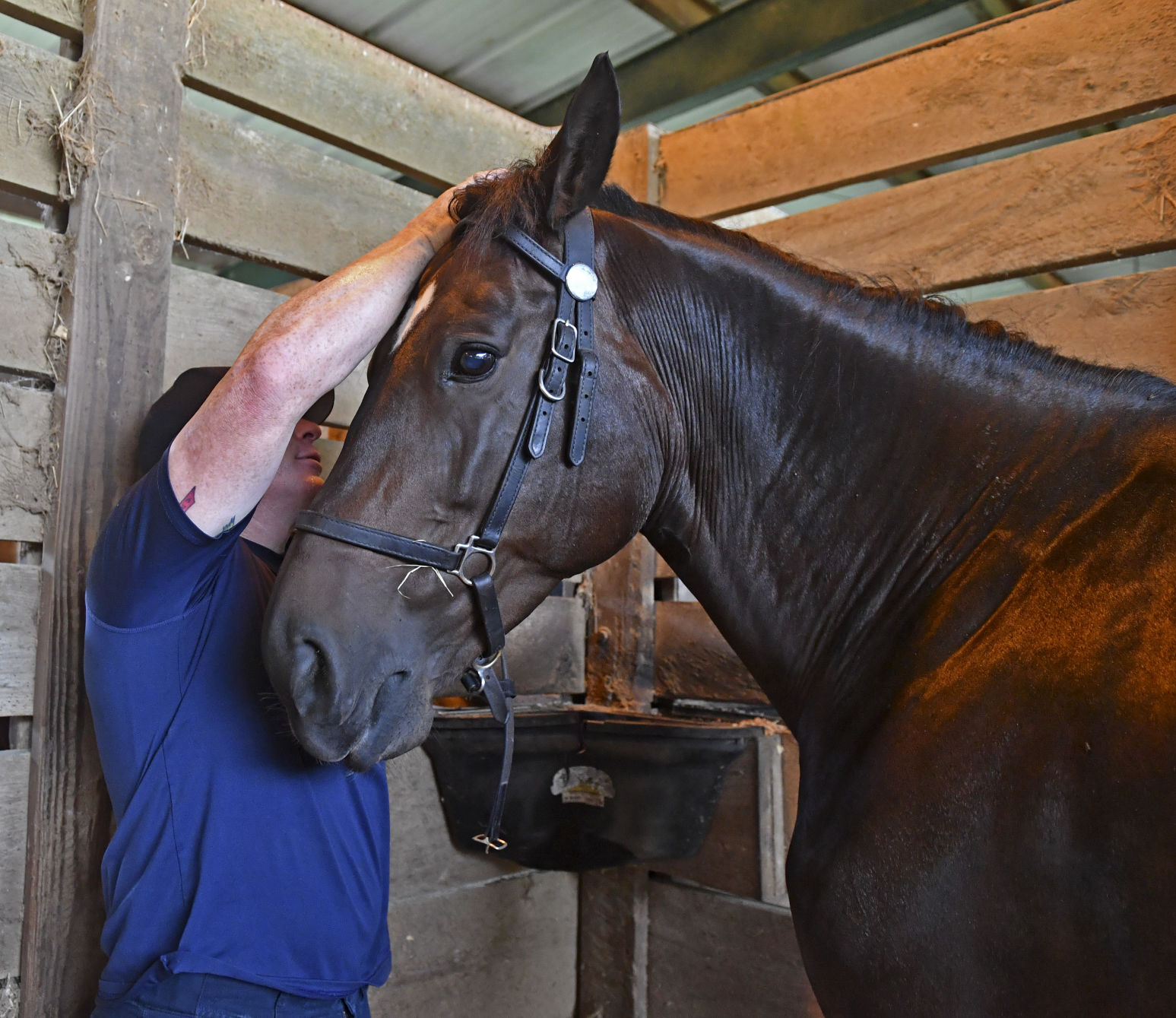 BR.brpdhorses.adv HS 009.JPG